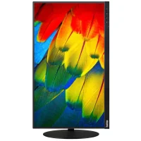 Монитор Lenovo ThinkVision T24m-10 (61CFRAT2EU) фото 4